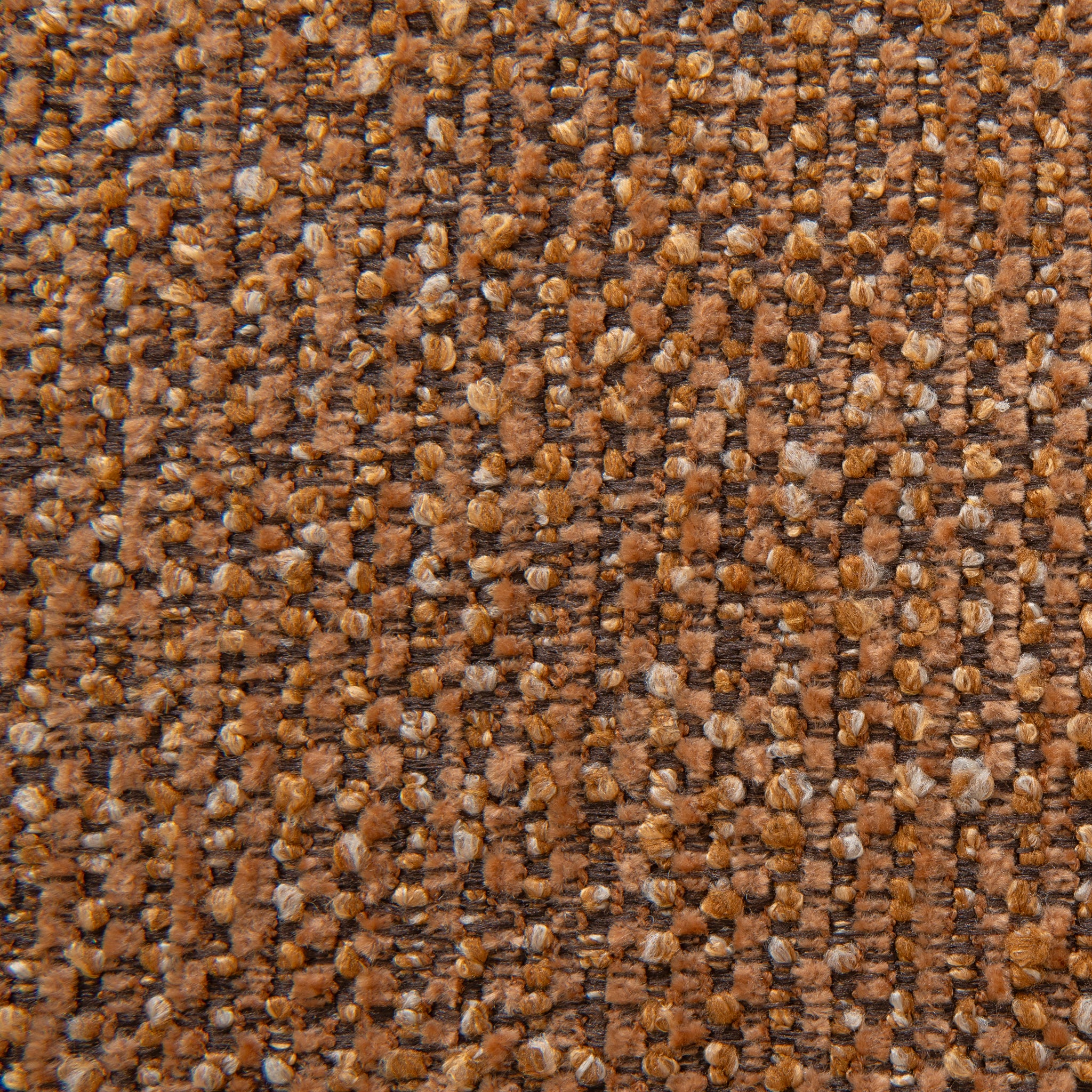 CLC10005-OLS Armchair - Coral Orange - Image 13